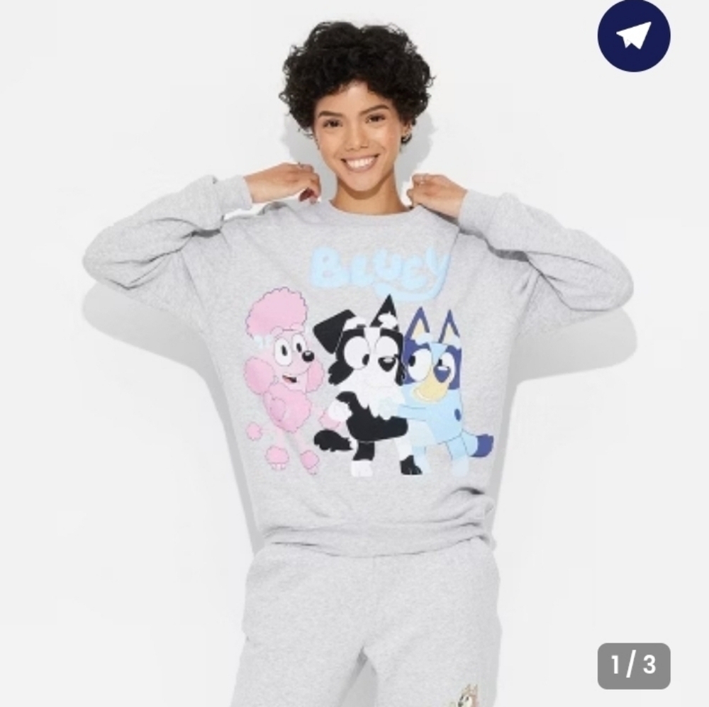 Bluey and Friends Graphic Sweatshirt - Heather Gray Women's